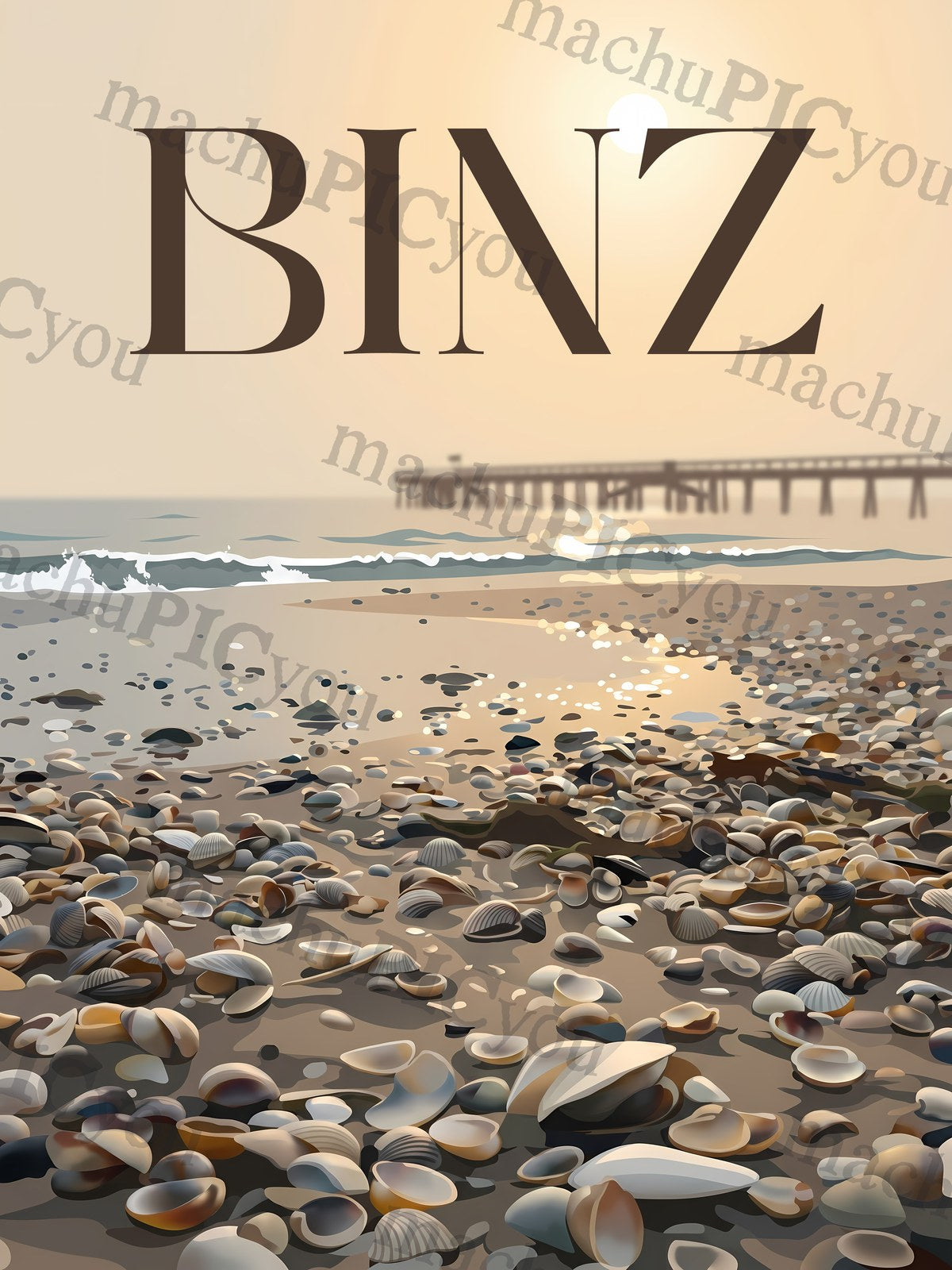 Binz — Muscheln im Sande