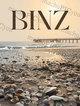 Binz — Muscheln im Sande