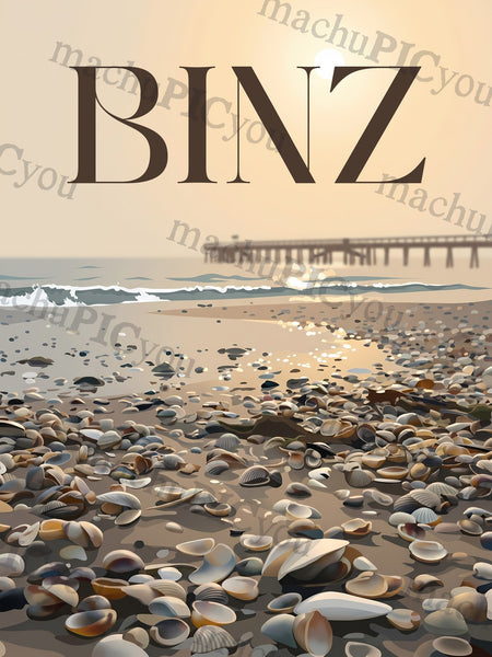 Binz — Muscheln im Sande