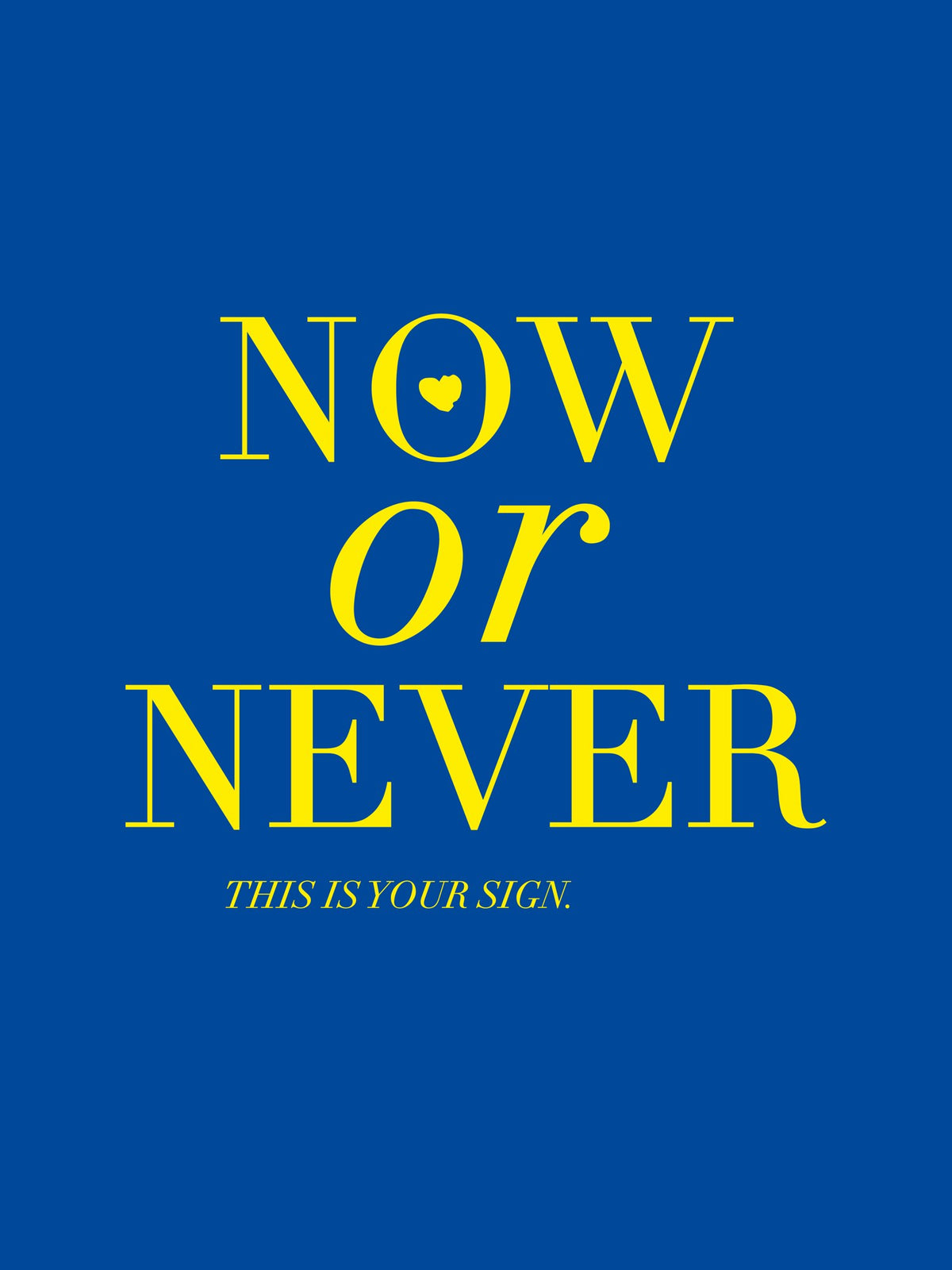 Poster Now or Never DYAM