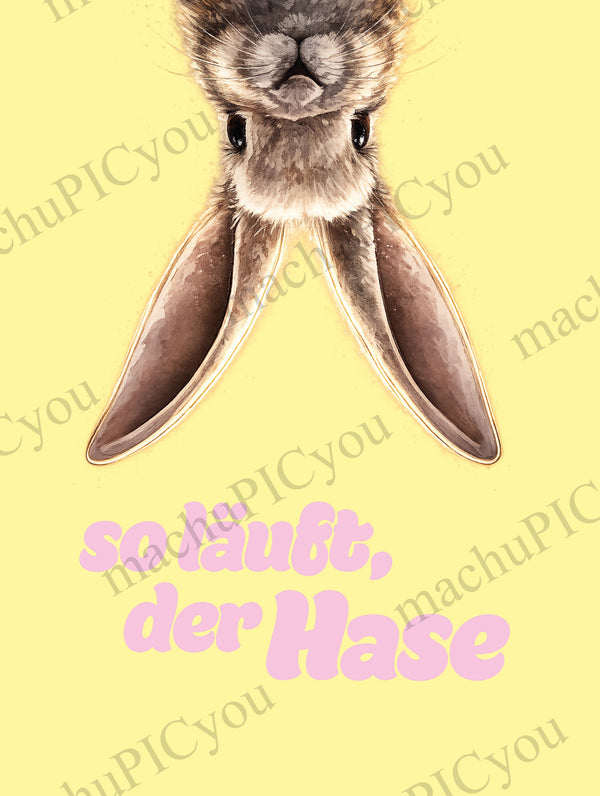 IMPRFCT — So läuft der Hase